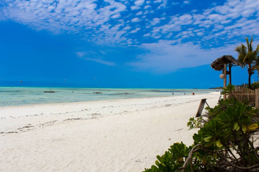 White sand beach with palms leaning over the water