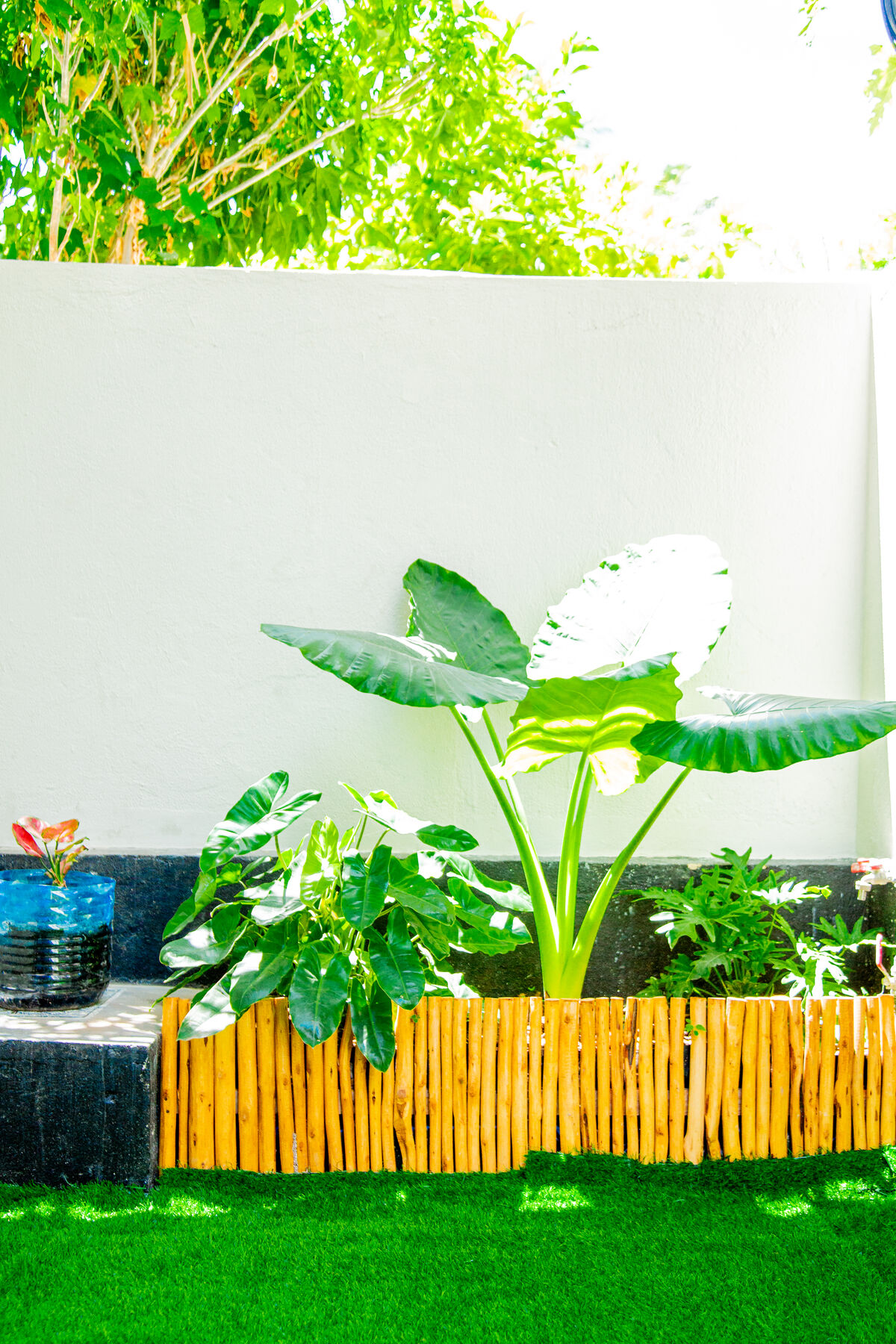 Green garden