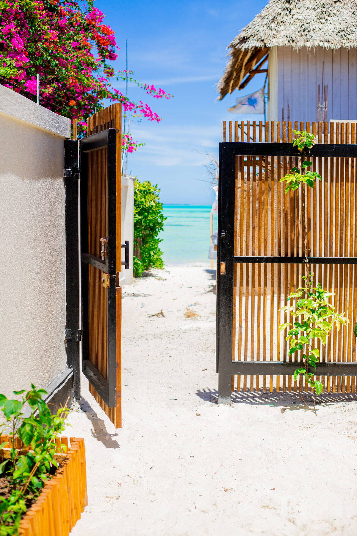 Bougainvillea over the open wooden gate, white sand and turquoise sea beyond